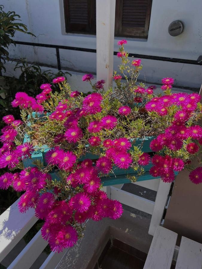 Hosteria Isabel Departamentos Y Habitaciones Con Bano Privado Las Grutas Dış mekan fotoğraf